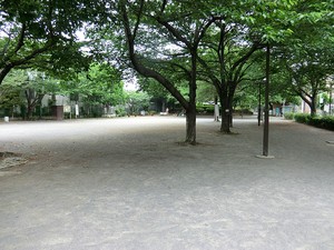 周辺環境:上池袋さくら公園 豊島区上池袋３丁目(7800万円)｜中古一戸建て｜住建ハウジング