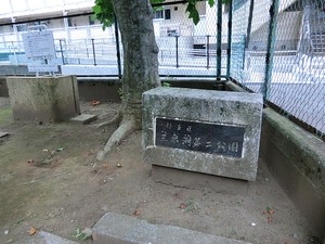 周辺環境:三泉淵第二公園 土地・売地 杉並区高井戸東１丁目 7380万円 高井戸駅｜住建ハウジング