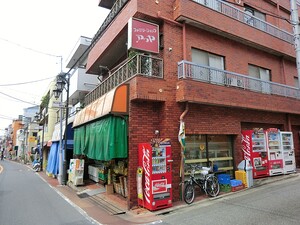 周辺環境:安房屋 土地・売地 品川区中延５丁目 9980万円 荏原町駅｜住建ハウジング