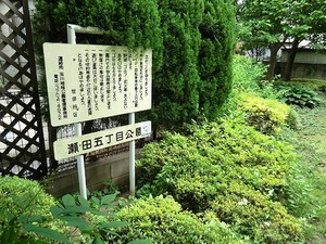 周辺環境:瀬田五丁目公園 世田谷区岡本１丁目(11480万円)｜土地・売地｜住建ハウジング