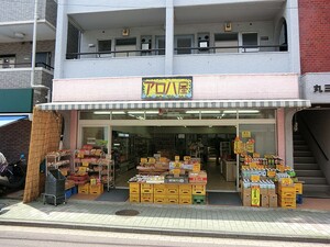 周辺環境:アロハ屋 新築一戸建て 大田区東雪谷５丁目 7980万円 石川台駅｜住建ハウジング