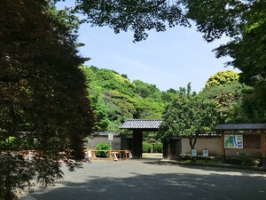 周辺環境:新江戸川公園 ブリリアシティ西早稲田