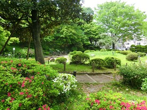 周辺環境:関口台公園 音羽サンハイツ