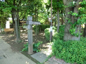 周辺環境:新町南公園 中古一戸建て 世田谷区新町２丁目 11000万円 桜新町駅｜住建ハウジング
