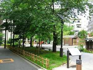周辺環境:宮本公園 シャリエ御茶ノ水