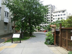 周辺環境:宮本公園 サンラインお茶の水(8680万円)｜中古マンション（新築･中古）｜住建ハウジング