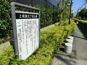 周辺環境:上用賀五丁目公園 馬事公苑パーク・ホームズ