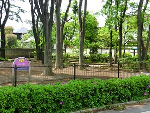 周辺環境:ふじ公園 土地・売地 武蔵野市西久保１丁目 60000万円 三鷹駅｜住建ハウジング