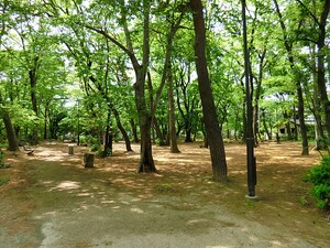 周辺環境:野鳥の森公園 藤和三鷹ホームズ
