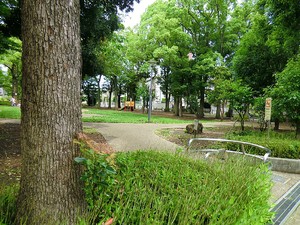 周辺環境:天沼弁天池公園 土地・売地 杉並区本天沼３丁目 6900万円 荻窪駅｜住建ハウジング