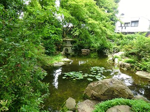 周辺環境:天沼弁天池公園 新築一戸建て 杉並区天沼２丁目 7480万円 荻窪駅｜住建ハウジング