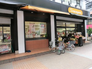 周辺環境:サカガミ本店Ａ プラウド駒込　Ｇ棟