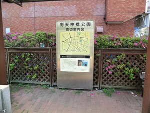 周辺環境:向天神橋公園 パークシティ弦巻コート・フロント・レジデンス