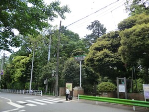 周辺環境:宝来公園 土地・売地 大田区田園調布３丁目 24800万円 田園調布駅｜住建ハウジング