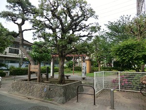 周辺環境:ことり児童公園 寮 大田区鵜の木３丁目 19800万円 鵜の木駅｜住建ハウジング