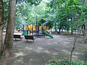 周辺環境:井草森公園 新築一戸建て 練馬区下石神井３丁目 7280万円 上井草駅｜住建ハウジング