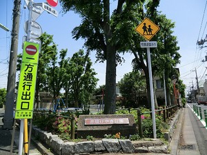 周辺環境:赤堤けやき公園 新築一戸建て 世田谷区赤堤５丁目 9580万円 下高井戸駅｜住建ハウジング