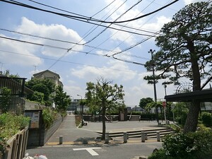 周辺環境:中井東公園 ステージ見晴坂