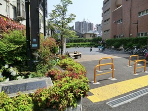 周辺環境:下二南街かど公園 ウイン目黒