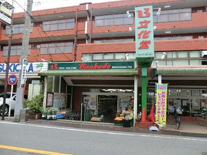 周辺環境:文化堂緑が丘店 目黒区緑が丘１丁目(19000万円)のアパート(一棟)｜住建ハウジング