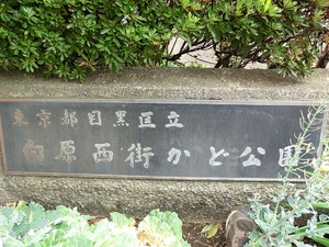 周辺環境:向原西街かど公園 土地・売地 目黒区目黒本町６丁目 9580万円 西小山駅｜住建ハウジング
