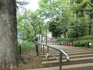 周辺環境:中根公園 グランドメゾン都立大学