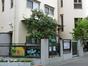 周辺環境:緑丘保育園 目黒区緑が丘２丁目(13000万円)｜土地・売地｜住建ハウジング