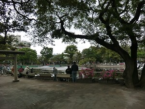 周辺環境:清水池公園 東急ドエルアルス目黒学芸大学