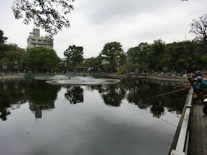 周辺環境:清水池公園 グランシティ碑文谷(10580万円)｜中古マンション（新築･中古）｜住建ハウジング