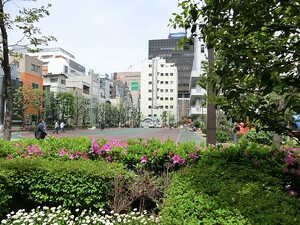 周辺環境:桜田公園 アデニウム新橋