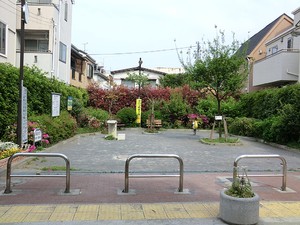 周辺環境:原町タンポポ公園 目黒原町パーク・ホームズ