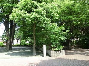 周辺環境:駒沢一丁目西公園 プレシス駒沢