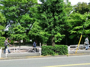 周辺環境:駒沢一丁目西公園 プレシス駒沢