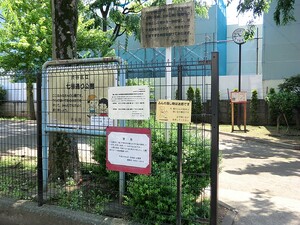 周辺環境:七号通り公園 渋谷区幡ヶ谷３丁目(9090万円)｜新築一戸建て｜住建ハウジング