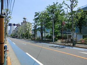 周辺環境:七号通り公園 幡ヶ谷ＹＭビル