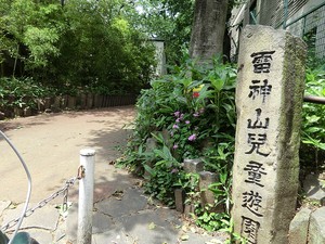 周辺環境:雷神山児童遊園 白金台桜苑マンション