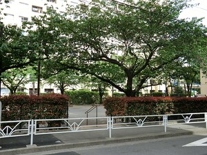 周辺環境:広尾公園 マンション(区分) 港区南麻布４丁目 クオリア南麻布 8830万円 広尾駅｜住建ハウジング