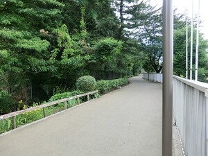 周辺環境:びくに公園 レックスガーデン石神井公園
