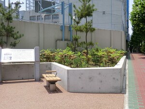 周辺環境:千代田公園 プレミスト日本橋浜町リデアル