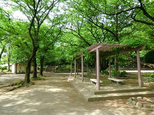 周辺環境:高稲荷公園 新築一戸建て 練馬区早宮３丁目 8280万円 氷川台駅｜住建ハウジング