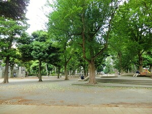 周辺環境:若林公園 世田谷区豪徳寺２丁目(8680万円)｜土地・売地｜住建ハウジング