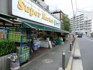 周辺環境:トップ中町店 マンション(一棟) 世田谷区中町３丁目 21800万円 上野毛駅｜住建ハウジング