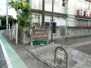 周辺環境:上野毛自然公園 上野毛リッツハウスＢ館