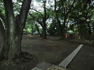 周辺環境:上野毛自然公園 上野毛シティハウスノーステラス