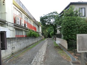 周辺環境:上野毛自然公園 上野毛リッツハウスＢ館