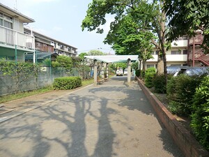 周辺環境:砧五丁目公園 マンション(一棟) 世田谷区大蔵２丁目 29800万円 祖師ケ谷大蔵駅｜住建ハウジング