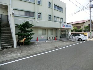 周辺環境:松原診療所 新築一戸建て 世田谷区等々力３丁目 19800万円 等々力駅｜住建ハウジング