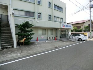 周辺環境:松原診療所 土地・売地 世田谷区中町２丁目 12980万円 上野毛駅｜住建ハウジング