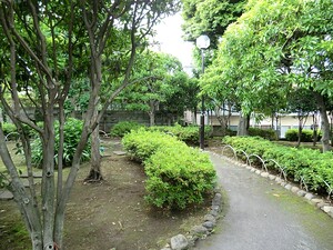 周辺環境:中町南公園 カーサソサエティ等々力(8100万円)｜新築マンション（新築･中古）｜住建ハウジング