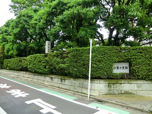 周辺環境:小原小児科医院 新築一戸建て 世田谷区宮坂１丁目 22500万円 経堂駅｜住建ハウジング